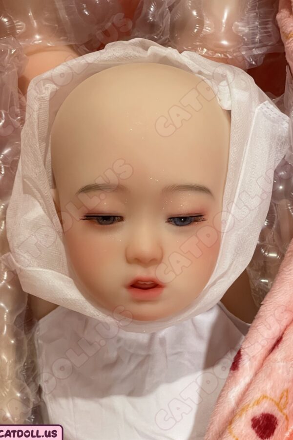 IN-STOCK Catdoll Sleepy Q (head)